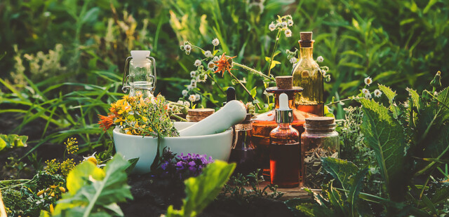 Fitoterapia e prodotti naturali